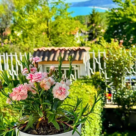 Maka - Balchik, Albena Village Zone 펜션